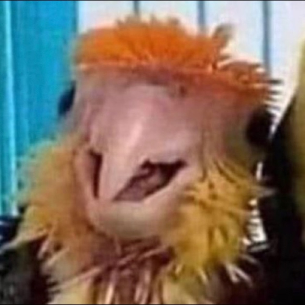 Meet your Posher, Eric